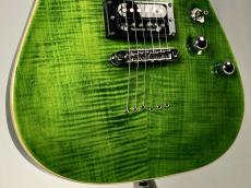 SCHECTER 【TAKAHIRO (FACT/SHADOWS)シグネチャーモデル】PA-SW/TH_5