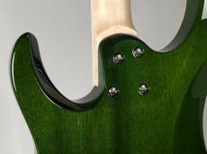 SCHECTER 【TAKAHIRO (FACT/SHADOWS)シグネチャーモデル】PA-SW/TH_11