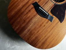 Taylor 24ce_3