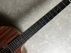 Taylor 24ce_5