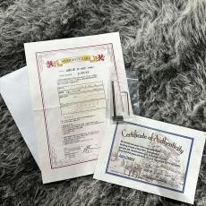 Sugi NB4 IR SL-ASH VWH_10