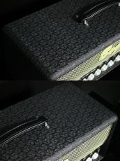 Bogner Ecstasy Head 101B Comet/Salt&Pepper + RJM/Mini Amp Gizmo【美品】【ご委託品】_4