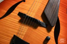 D'Aquisto DQ-JZ -Jazz Line- VLB (Violin Burst)_6