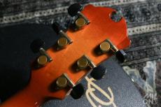 D'Aquisto DQ-JZ -Jazz Line- VLB (Violin Burst)_7