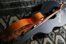 D'Aquisto DQ-JZ -Jazz Line- VLB (Violin Burst)_9