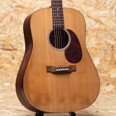 Martin DM 2007