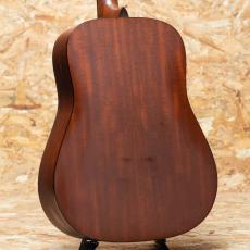Martin DM 2007_2