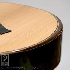 Taylor 814ce DLX V-Class_6