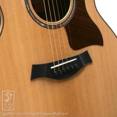 Taylor 814ce DLX V-Class_7