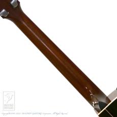 Taylor 814ce DLX V-Class_11