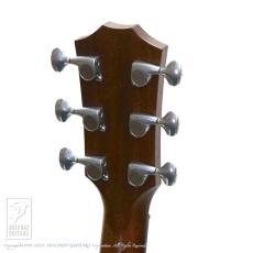 Taylor 814ce DLX V-Class_13