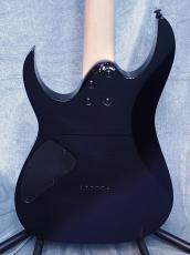 Ibanez RG421DX -Twilight Shade- 【軽量3.11kg】【SPOT MODEL!】_4
