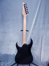 Ibanez RG421DX -Twilight Shade- 【軽量3.11kg】【SPOT MODEL!】_5