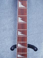 Ibanez RG421DX -Twilight Shade- 【軽量3.11kg】【SPOT MODEL!】_7