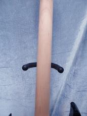 Ibanez RG421DX -Twilight Shade- 【軽量3.11kg】【SPOT MODEL!】_9