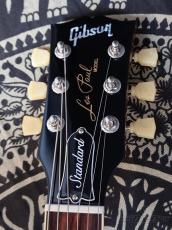 Gibson Les Paul Standard 50s -Gold Top- 【#202360284】【4.36kg】_7