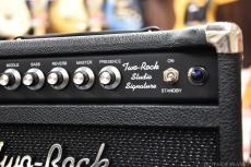 Two-Rock Studio Signature Combo -Sparkle Matrix Grill Cloth & Skirt Knob!-_7