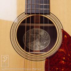 Collings OM-2H Traditional (Old Growth Sitka Spruce)_12