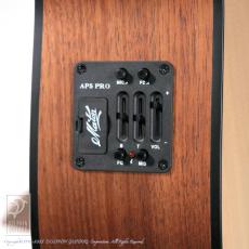 Maton SRS808_10
