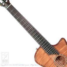 Bromo Guitars BEN2C_5