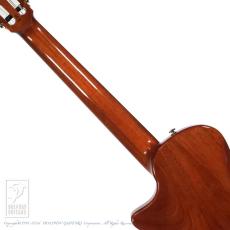 Bromo Guitars BEN2C_6