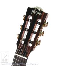Bromo Guitars BEN2C_7