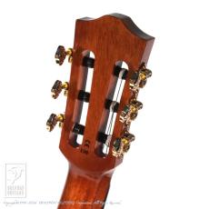 Bromo Guitars BEN2C_8