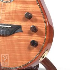 Bromo Guitars BEN2C_10