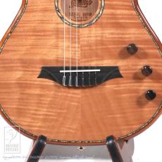 Bromo Guitars BEN2C_11