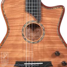 Bromo Guitars BEN2C_12