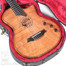 Bromo Guitars BEN2C_15