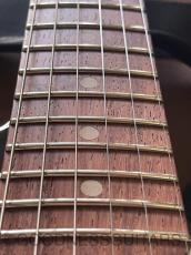 Vanzandt STV-R2/3TS TRUE VINTAGE SET _5
