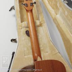 Maestro Guitars Victoria MH CSB C_10