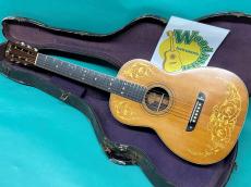 Washburn Deluxe Guitar 5238