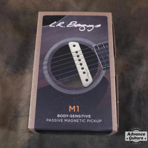 L.R.Baggs M1 Passive