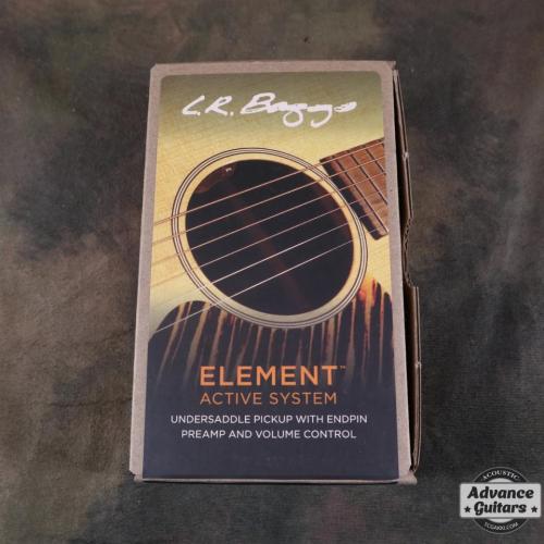 L.R.Baggs Element