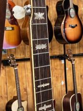Fender Artist Bluegrass Banjo_5