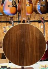 Fender Artist Bluegrass Banjo_8