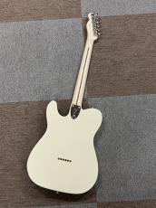 Fender Made in Japan Traditional 70s Telecaster Thinline, Maple Fingerboard, Olympic White_3