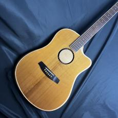 L.R.Baggs AEG1 TOR エレアコギター トリファイド シトカスプルース