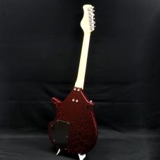 Star's エレキシタール ELS-1 RD_3