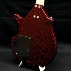 Star's エレキシタール ELS-1 RD_5