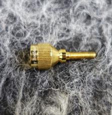 YANAGISAWA Yany BooStar For YAMAHA GOLD Plate_2