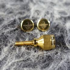 YANAGISAWA Yany BooStar For YAMAHA GOLD Plate_5