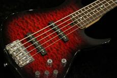 T's Omni-5st/22 Rosewood Fingerboard -Crimson Burst- #080103【4.14kg】_2