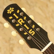 IRIS GUITAR COMPANY DF Model Relic T.Burst / Lightaged_8