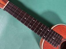 Lo Prinzi  MODEL-2M_7