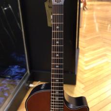 Taylor Builder's Edition 314ce 50th Anniversary_4