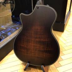 Taylor Builder's Edition 314ce 50th Anniversary_5