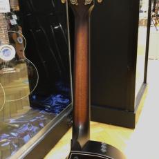 Taylor Builder's Edition 314ce 50th Anniversary_8